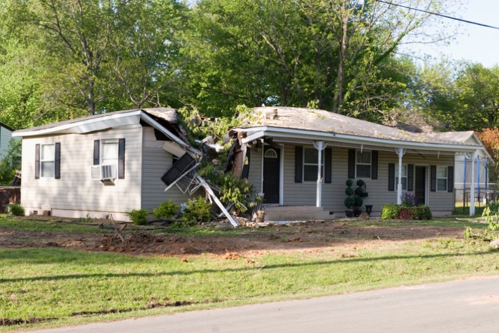 Fallen Tree Damage Restoration by Flood Pros Panama City