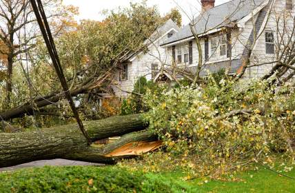 Storm damage restoration in Panama City Beach by Flood Pros Panama City