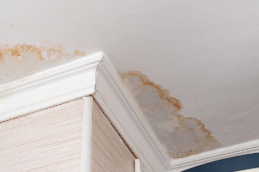 Water Damage Claim Adjusting by Flood Pros Panama City